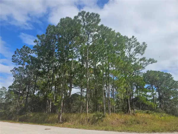 1147 Wildflower Street, LAKE PLACID, FL 33852