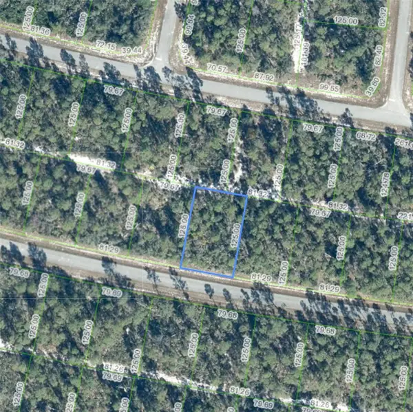 7838 Altara Street, SEBRING, FL 33872