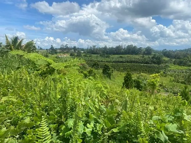 Carr 152 #D, Barranquitas, PR 00794 - Image #1