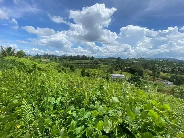 Carr 152 #D, Barranquitas, PR 00794 - Image #2