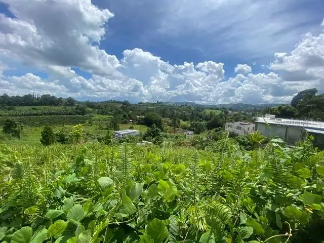 Carr 152 #D, Barranquitas, PR 00794 - Image #3