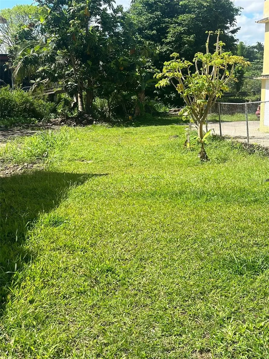 CALLE MUNOZ RIVERA #109, Yabucoa, PR 00767 - Image #3