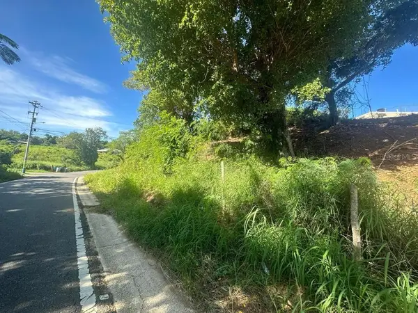 Carr 485 Carr 485, CAMUY, PR 00627