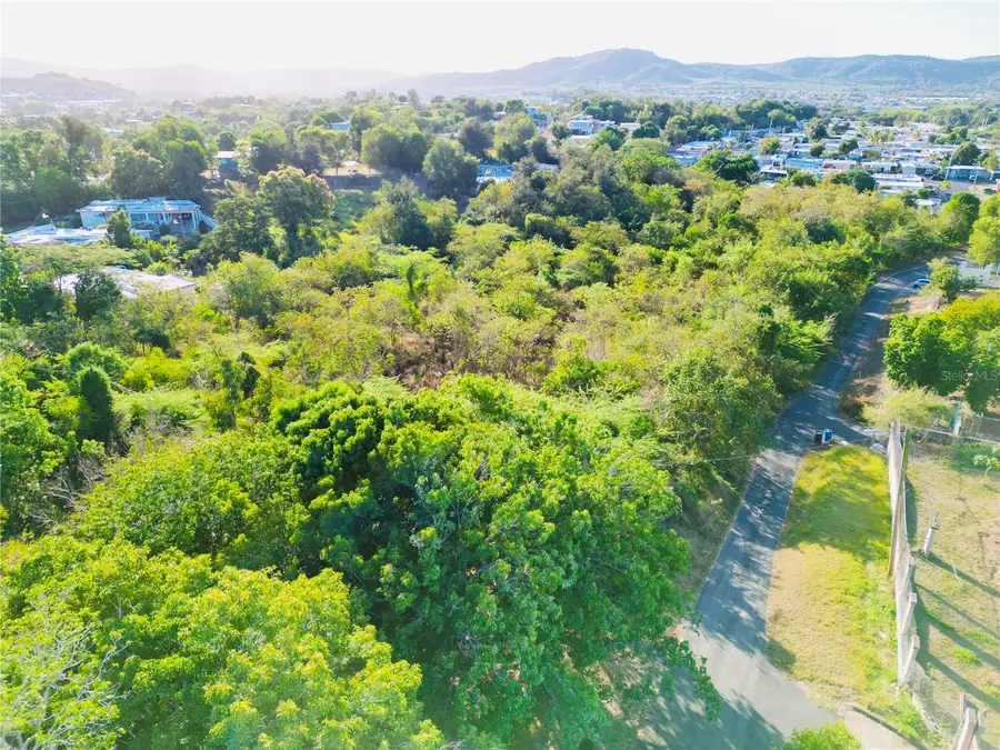 KM.HM 3.2 CARR 371 Bo Almacigo Bajo, Yauco, PR 00698 - Image #2