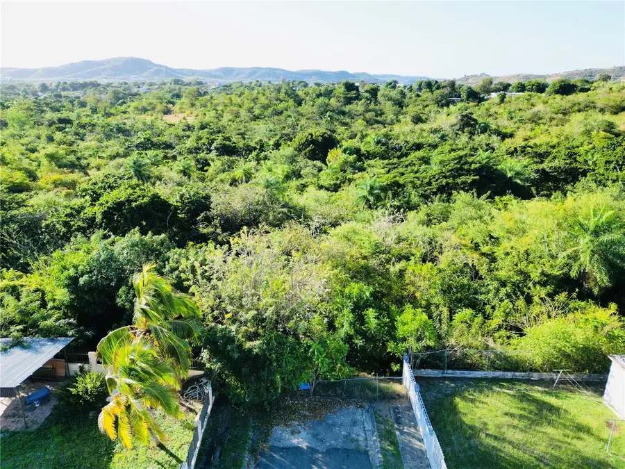 KM.HM 3.2 CARR 371 Bo Almacigo Bajo, Yauco, PR 00698 - Image #3