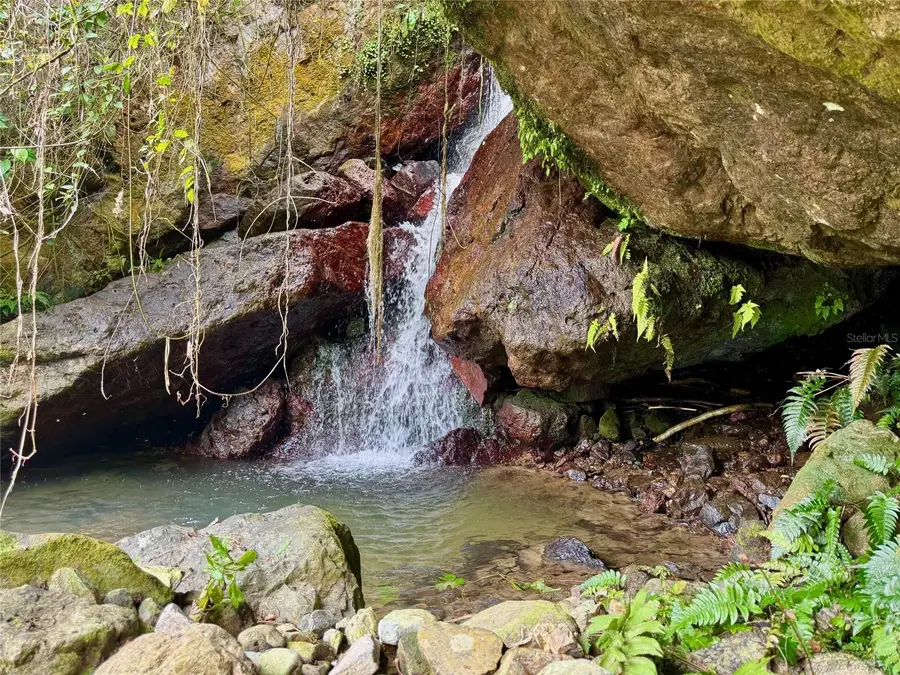 191 191 Bo. Rio Blanco Km 9.7, Naguabo, PR 00718 - Image #2