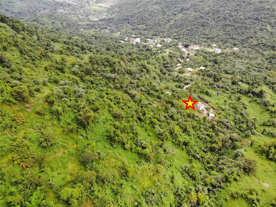 191 191 Bo. Rio Blanco Km 9.7, Naguabo, PR 00718 - Image #3