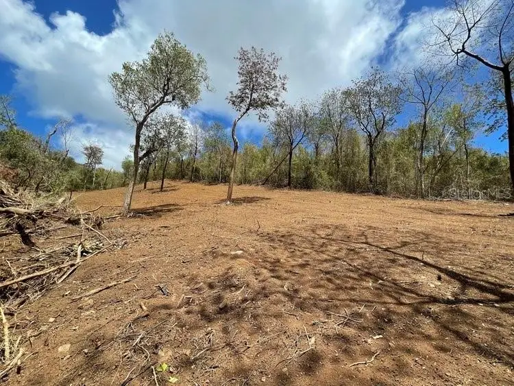 Villa Borinquen, Vieques, PR 00765 - Image #2