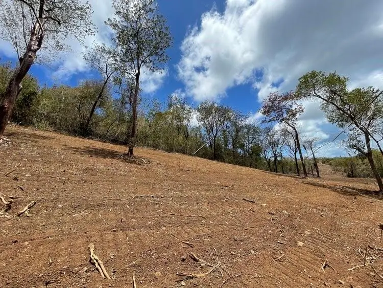 Villa Borinquen, Vieques, PR 00765 - Image #3