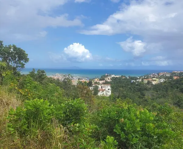 37 Harbour Lights Estates, Palmas Del Mar, HUMACAO, PR 00791