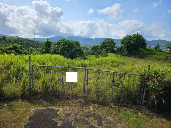 Carr 734, CIDRA, PR 00739