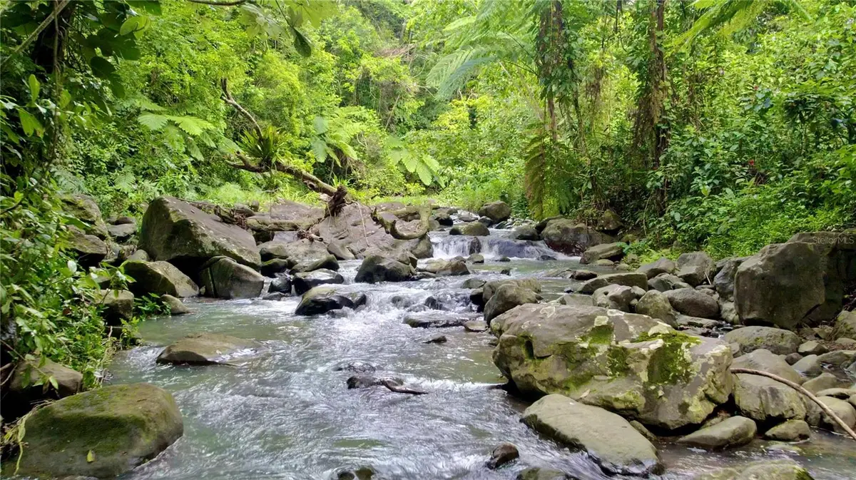 Carr. 9983 Bo. Pitahaya #LOTE C, Luquillo, PR 00773 - Image #1