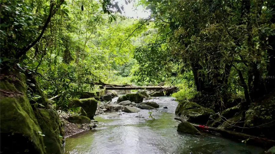 Carr. 9983 Bo. Pitahaya #LOTE C, Luquillo, PR 00773 - Image #3