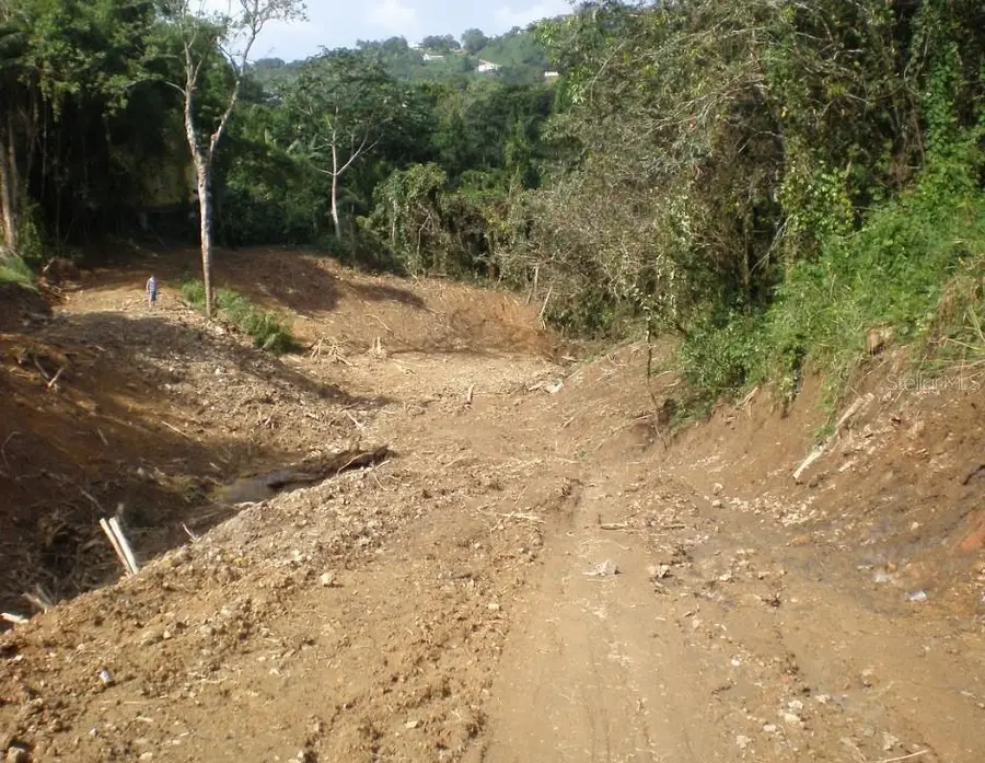 Urb. Lomas Del Sol, Guaynabo, PR 00969 - Image #2