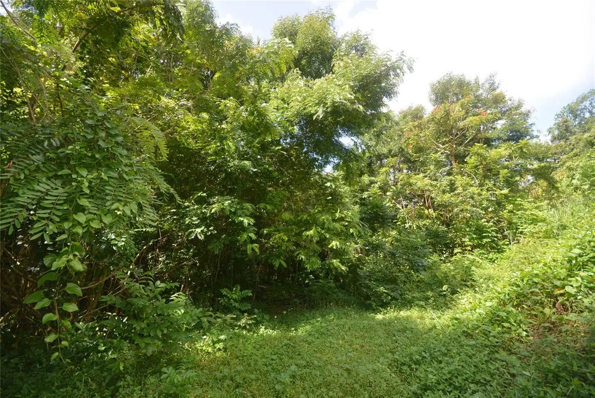 Bo. Marzan Pr-820, Toa Alta, PR 00953 - Image #1