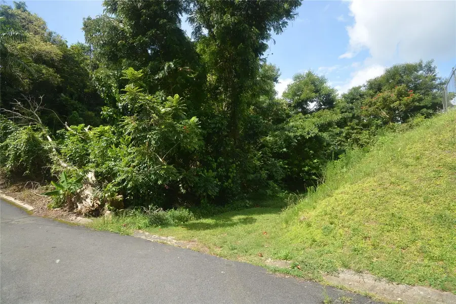 Bo. Marzan Pr-820, Toa Alta, PR 00953 - Image #2