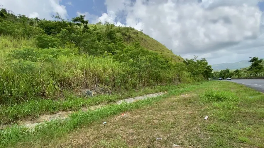 Carr 30 & Carr 203, Gurabo, PR 00778 - Image #3