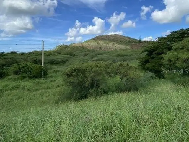 Carr 3 Km 152.1, Salinas, PR 00751 - Image #1