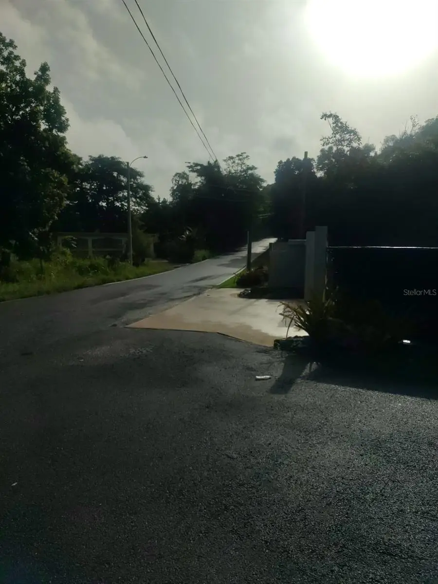 Carr 821 Km 1.9, Corozal, PR 00783 - Image #1