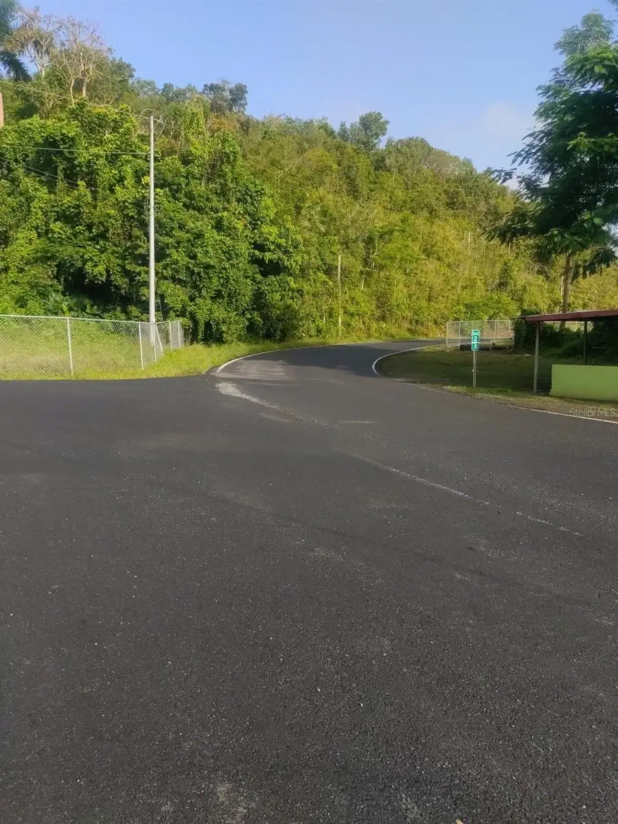 Carr 821 Km 1.9, Corozal, PR 00783 - Image #2