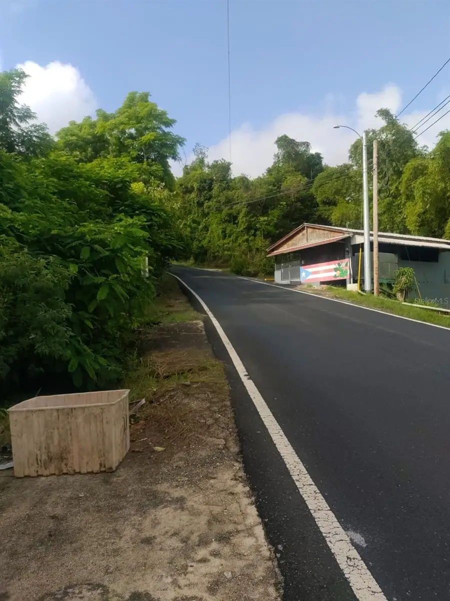 Carr 821 Km 1.9, Corozal, PR 00783 - Image #3