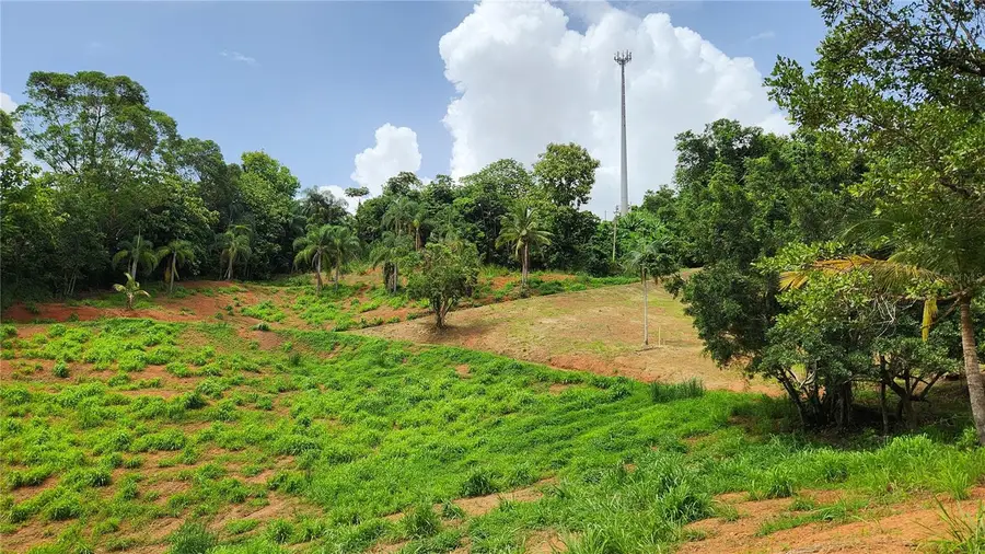 PR 805 Km 0.7 Int. Negros Ward, Corozal, PR 00783 - Image #2