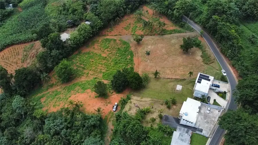 PR 805 Km 0.7 Int. Negros Ward, Corozal, PR 00783 - Image #3