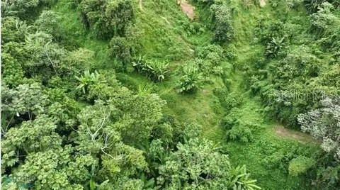 Carretera #111, San Sebastian, PR 00685 - Image #2