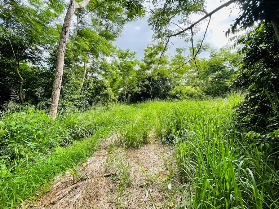 Carr 100 Km 5.2 Bo. Miradero, Cabo Rojo, PR 00623 - Image #3