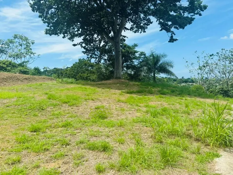 Bo. Naranjo, Aguada, PR 00602 - Image #3