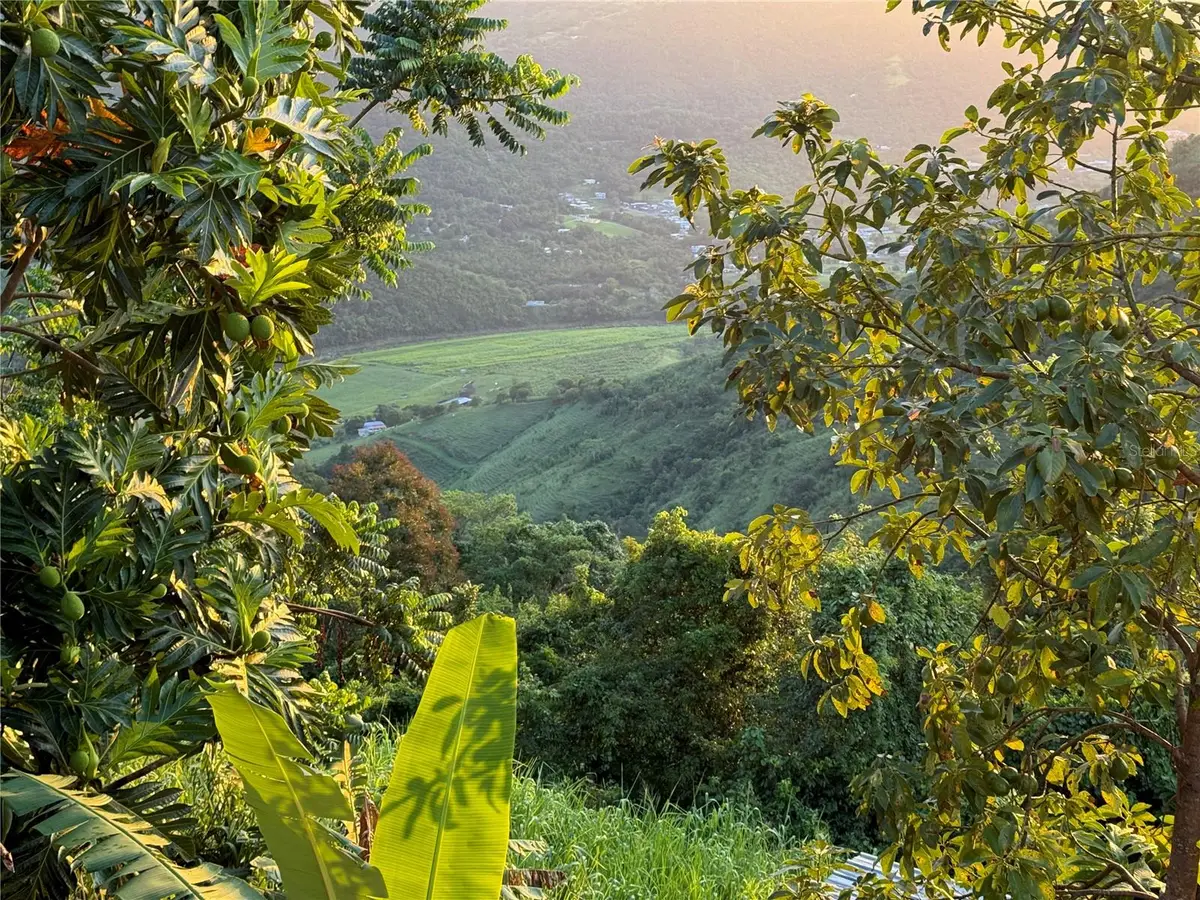 Pr 173 Km 5.9 Barrio Salto, Int., Cidra, PR 00739 - Image #1