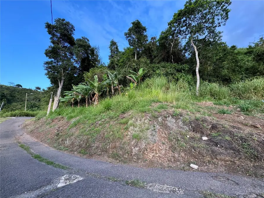 Pr 173 Km 5.9 Barrio Salto, Int., Cidra, PR 00739 - Image #3