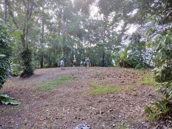 Las Magas #C-13, CANOVANAS, PR 00729