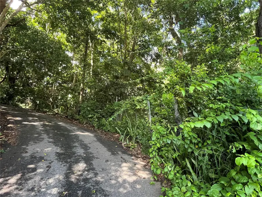 Carr 347 Km 1.6 Bo Sabana Grande Abajo, San German, PR 00683 - Image #2