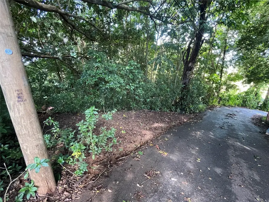 Carr 347 Km 1.6 Bo Sabana Grande Abajo, San German, PR 00683 - Image #3