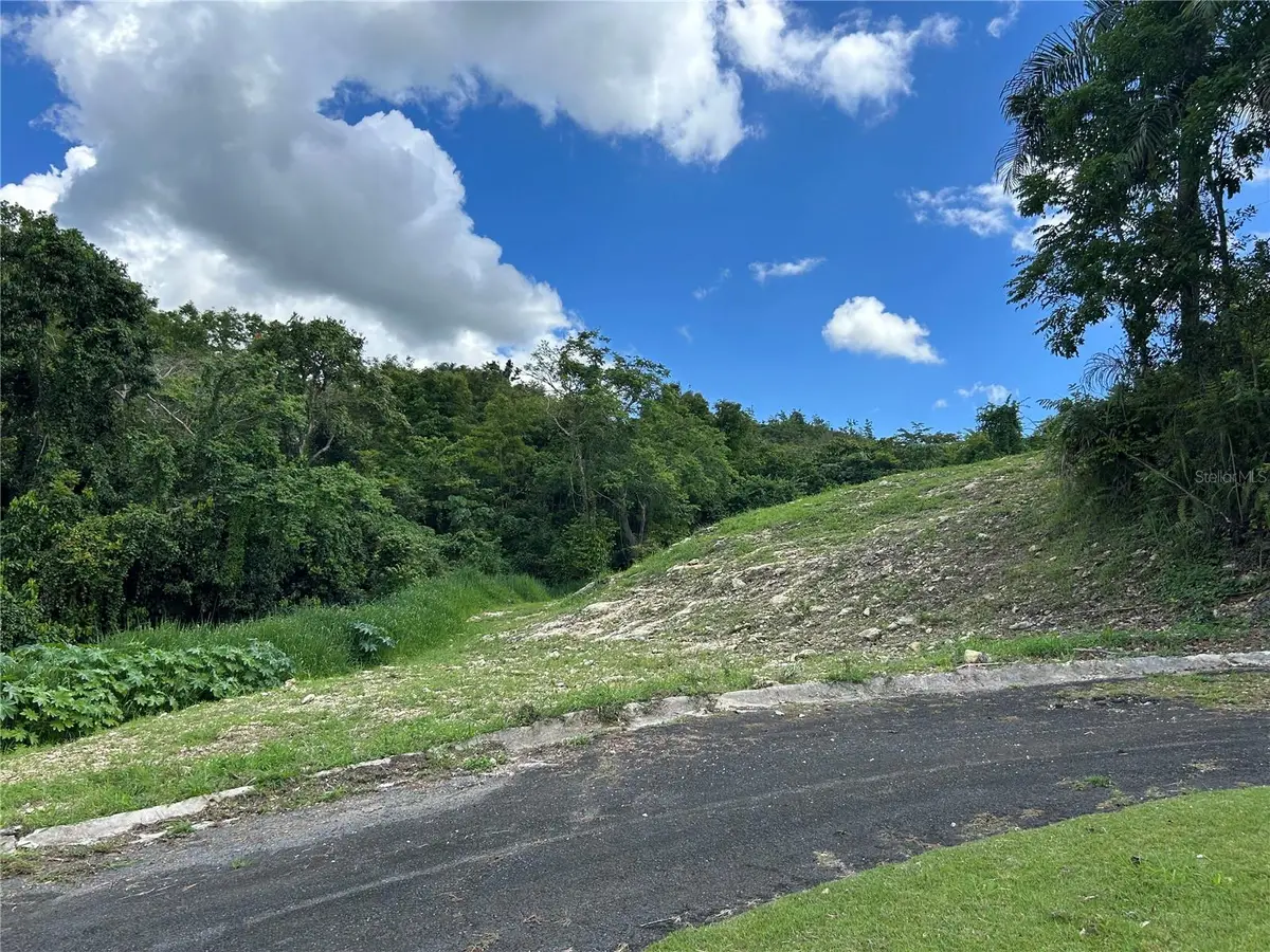 Carr 160 Solar 8 Bo. Almirante Sur, Vega Baja, PR 00693 - Image #1