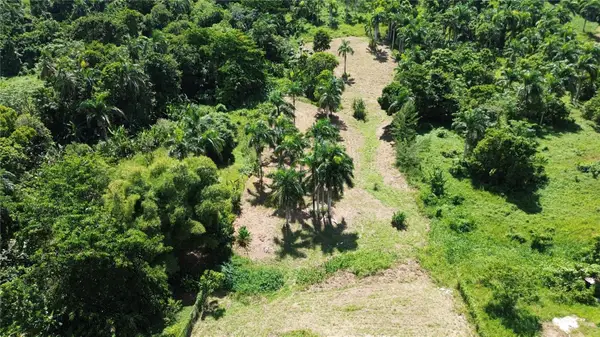 PR-992 KM 5.7 Bello Sitio Mameyes, Lot 9, LUQUILLO, PR 00773