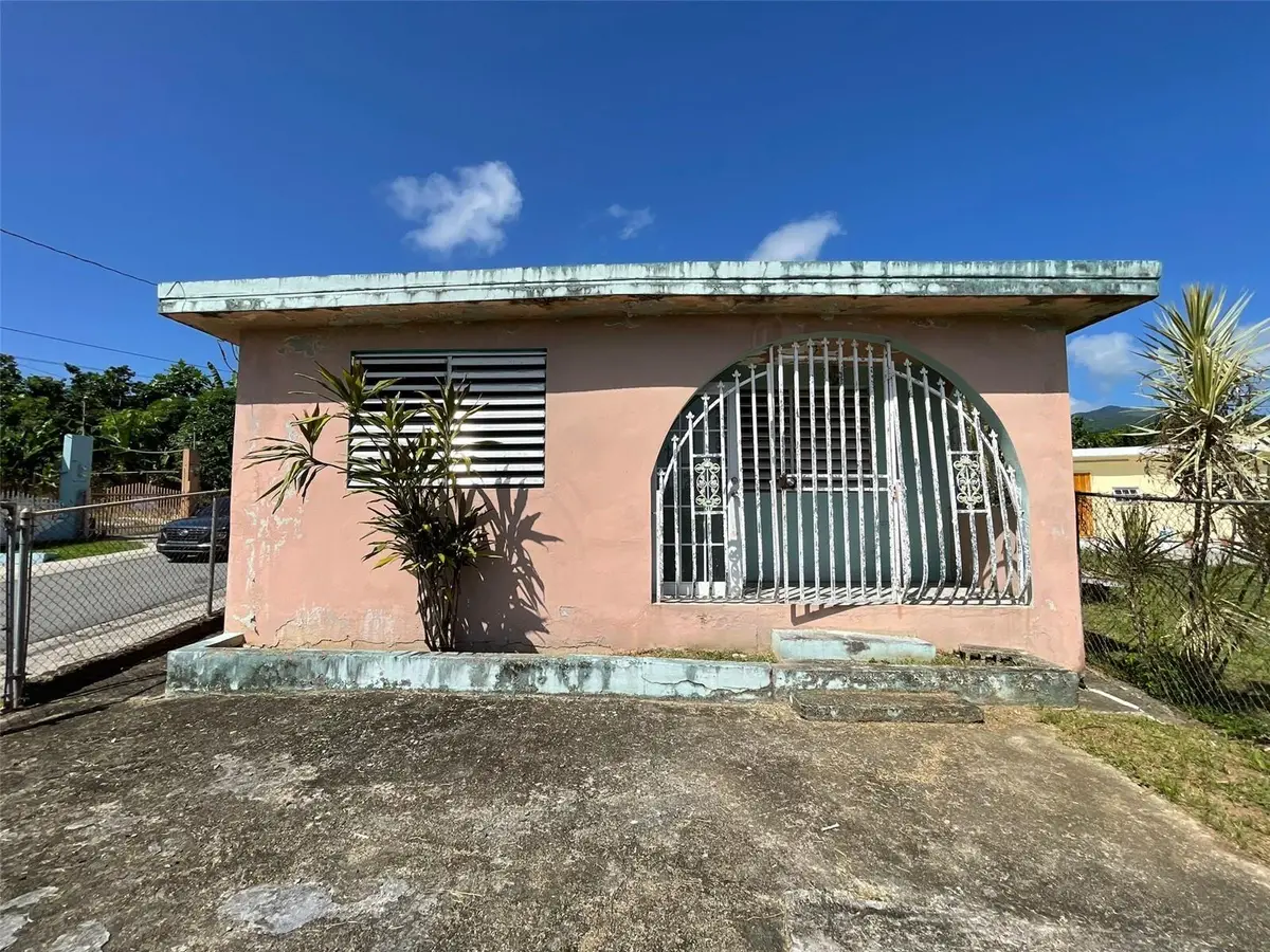 Calle 4 Barrio El Mango, Juncos, PR 00777 - Image #1