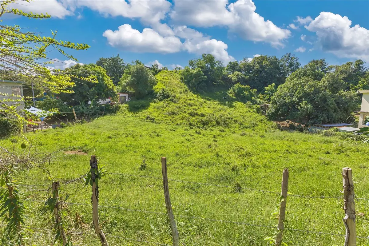 Carr.414 Camino Mortero, Rincon, PR 00677 - Image #1
