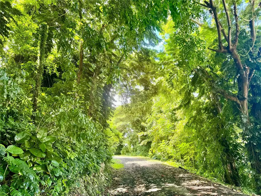 8874 Calle 3 Final, Canovanas, PR 00729 - Image #3