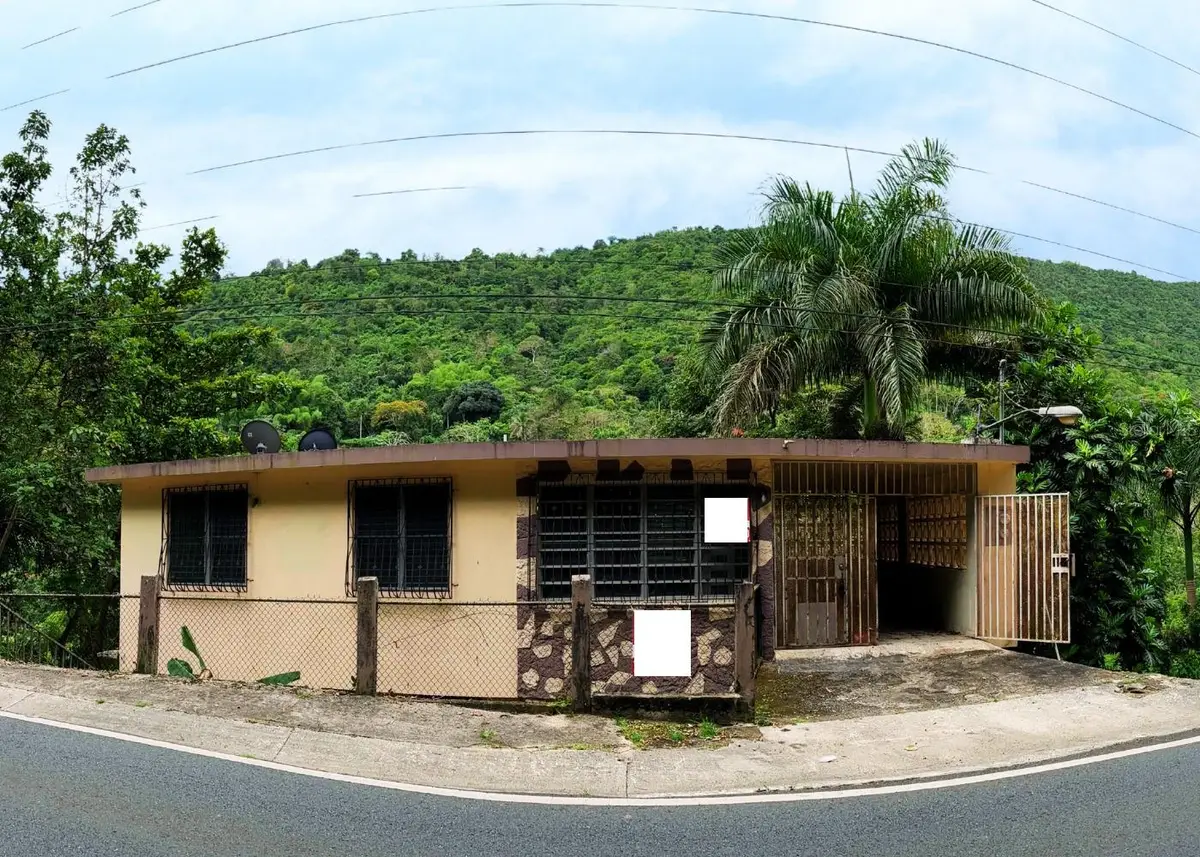 173 Carr Sr, Aibonito, PR 00705 - Image #1