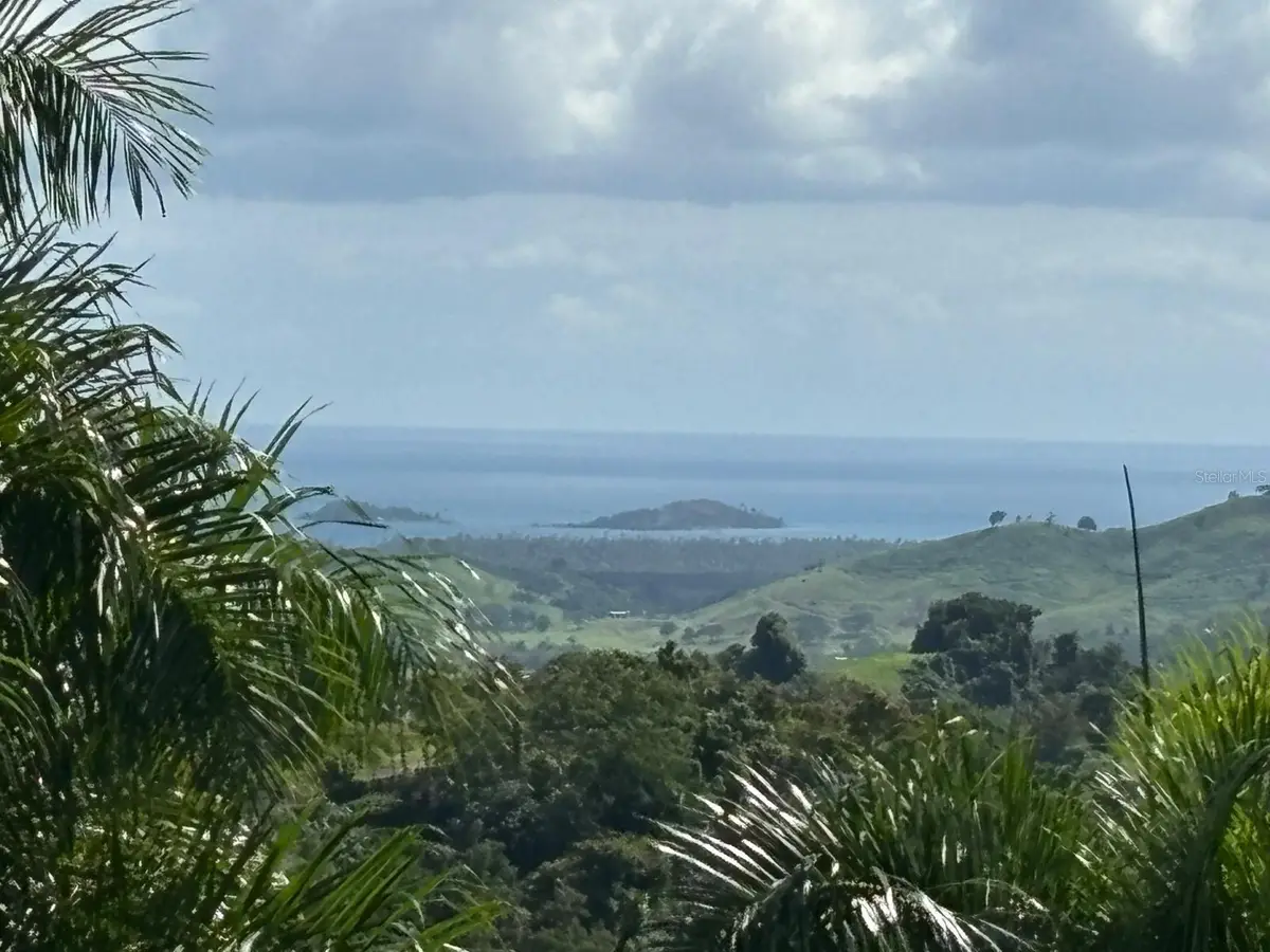 31 INT 950 KM.HM 9.7 Bo Rio Blanco, Naguabo, PR 00718 - Image #1