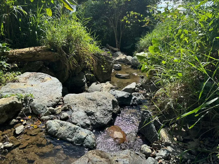 31 INT 950 KM.HM 9.7 Bo Rio Blanco, Naguabo, PR 00718 - Image #2