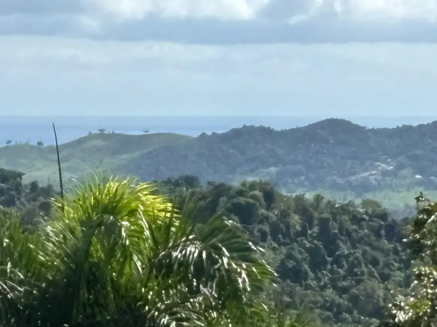 31 INT 950 KM.HM 9.7 Bo Rio Blanco, Naguabo, PR 00718 - Image #3