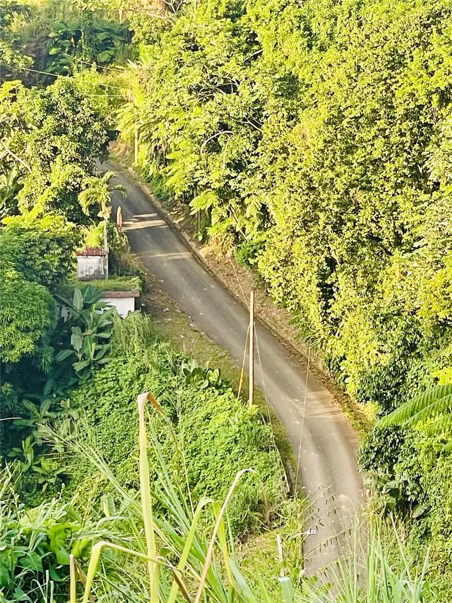 185 Carretera #2, Canovanas, PR 00729 - Image #2