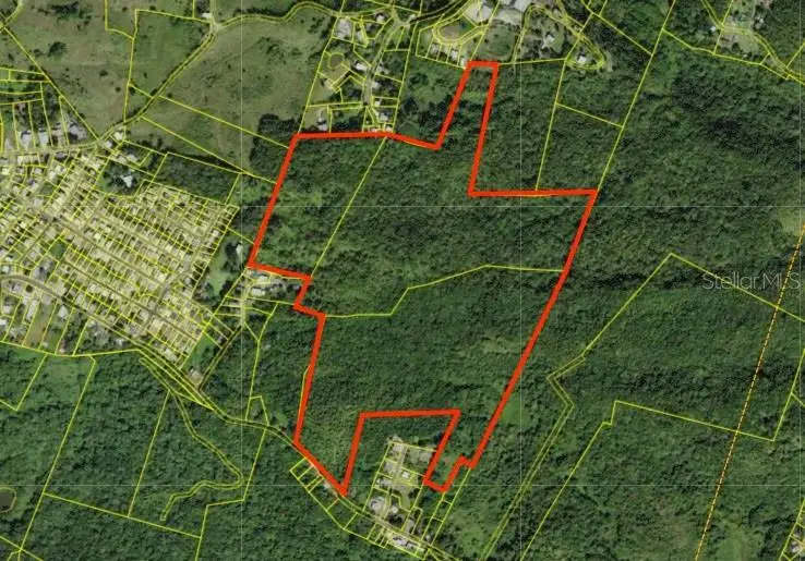 Bo. Juncal Pr-111, San Sebastian, PR 00685 - Image #1