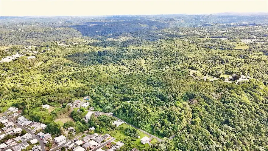 Bo. Juncal Pr-111, San Sebastian, PR 00685 - Image #3