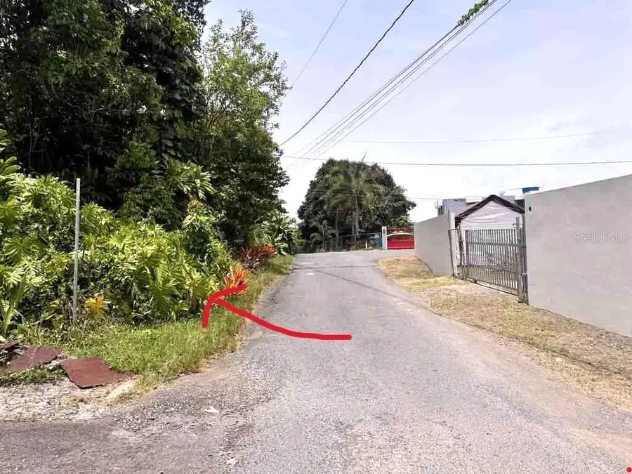 Los Quianes, Cienaga Alta, PR 00721 - Image #2