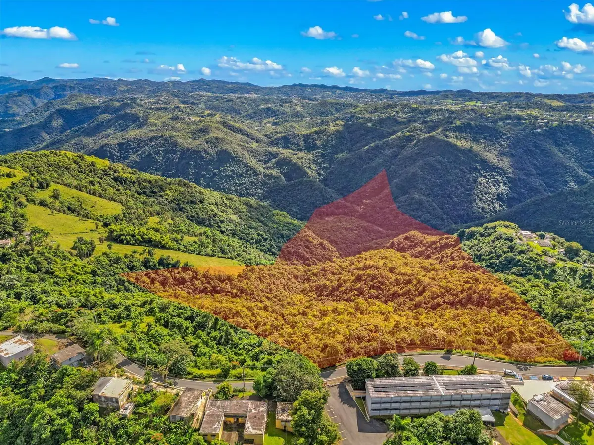 Carr. 156 Km 20.1 Interior Bo. Honduras, Barranquitas, PR 00794 - Image #1