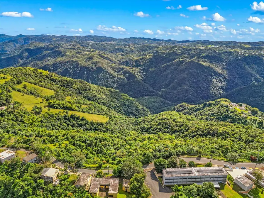 Carr. 156 Km 20.1 Interior Bo. Honduras, Barranquitas, PR 00794 - Image #2